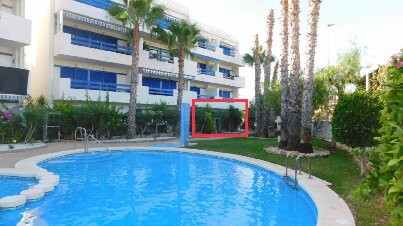 Coral House - La Calma - Playa Flamenca - Big Terrace & 4 Swimming Pools. Apartment Exterior photo