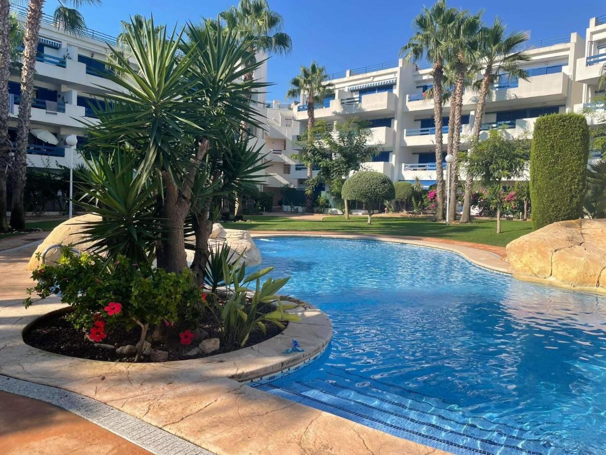 Coral House - La Calma - Playa Flamenca - Big Terrace & 4 Swimming Pools. Apartment Exterior photo