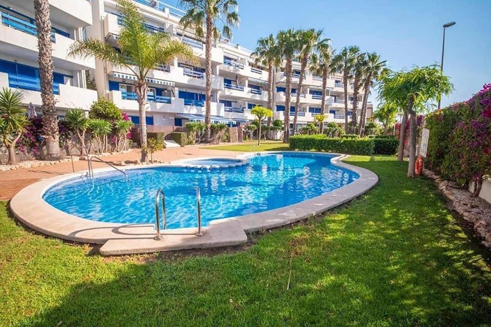 Coral House - La Calma - Playa Flamenca - Big Terrace & 4 Swimming Pools. Apartment Exterior photo